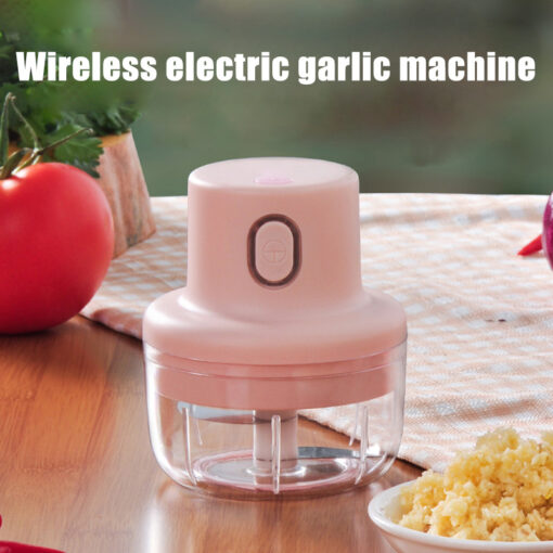 Mini Meat Grinder